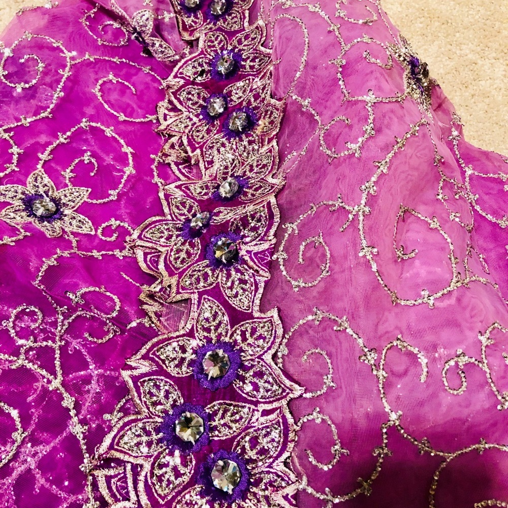 Pakistani/indian saree - Picture 5 of 8